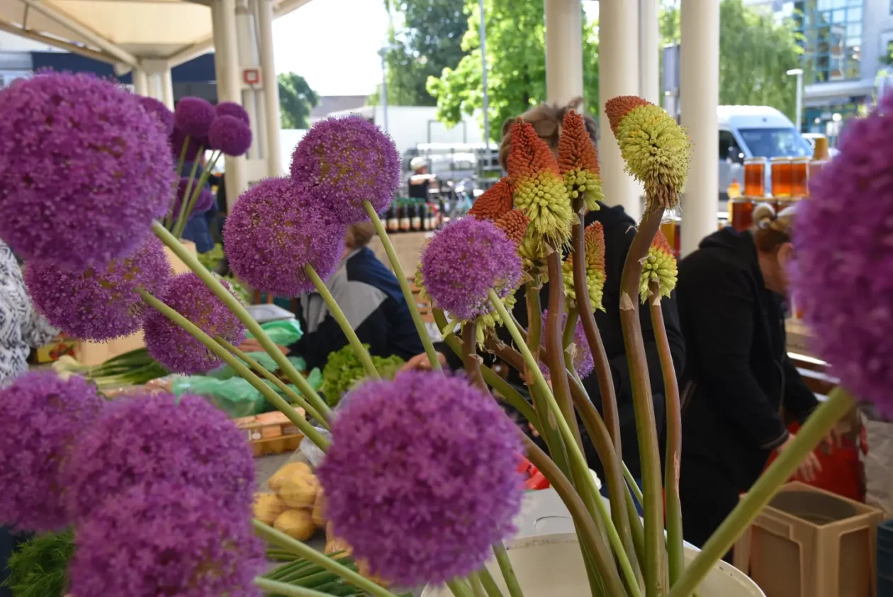 Tržnica, Čakovec, 31.5.2025 (13) Tržnica, Čakovec, 31.5.2025 (13)