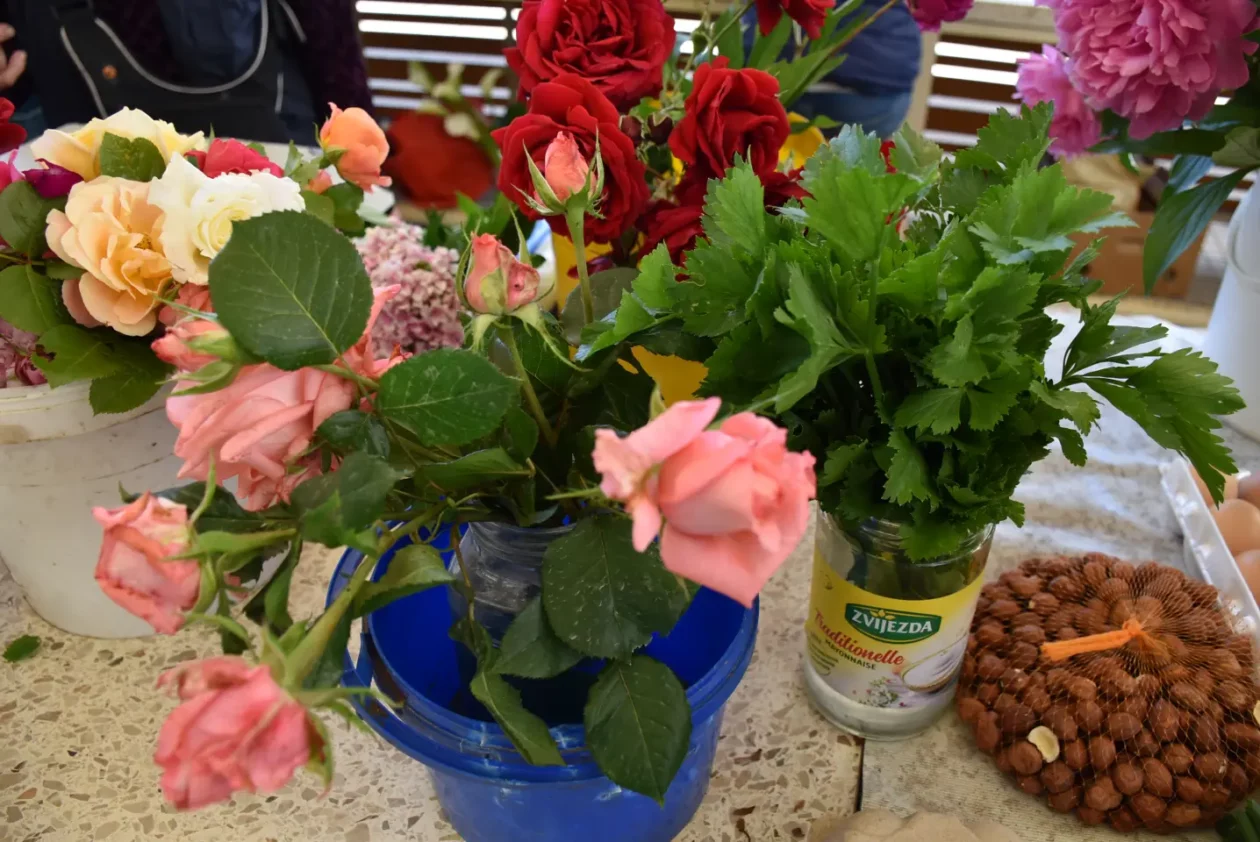 Tržnica, Čakovec, 31.5.2025 (16) Tržnica, Čakovec, 31.5.2025 (16)