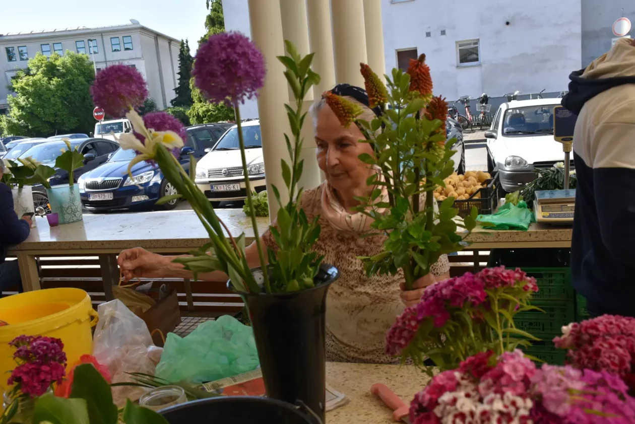 Tržnica, Čakovec, 31.5.2025 (17) Tržnica, Čakovec, 31.5.2025 (17)