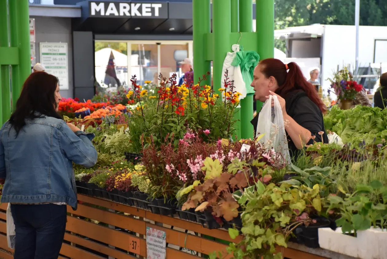 Tržnica, Čakovec, 31.5.2025 (19) Tržnica, Čakovec, 31.5.2025 (19)