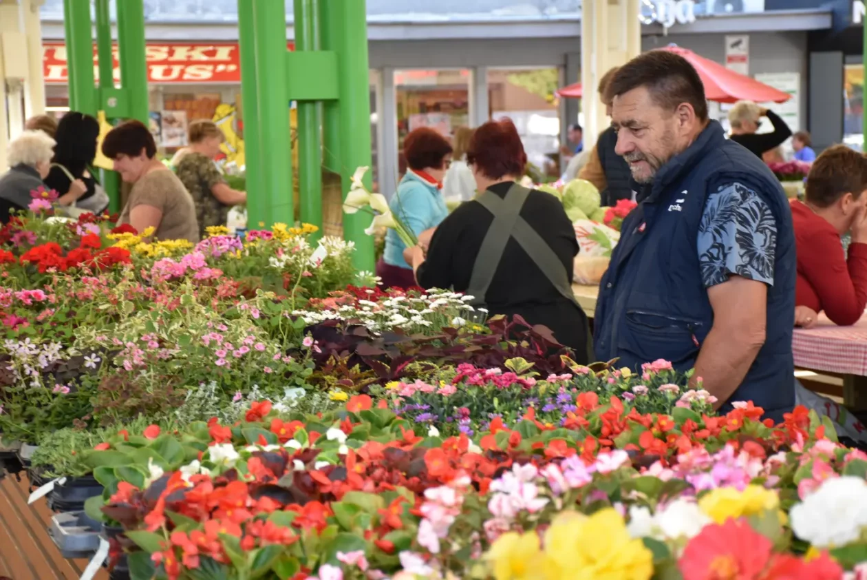 Tržnica, Čakovec, 31.5.2025 (2) Tržnica, Čakovec, 31.5.2025 (2)