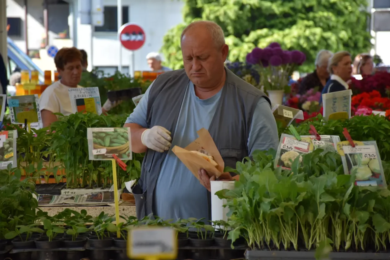 Tržnica, Čakovec, 31.5.2025 (24) Tržnica, Čakovec, 31.5.2025 (24)