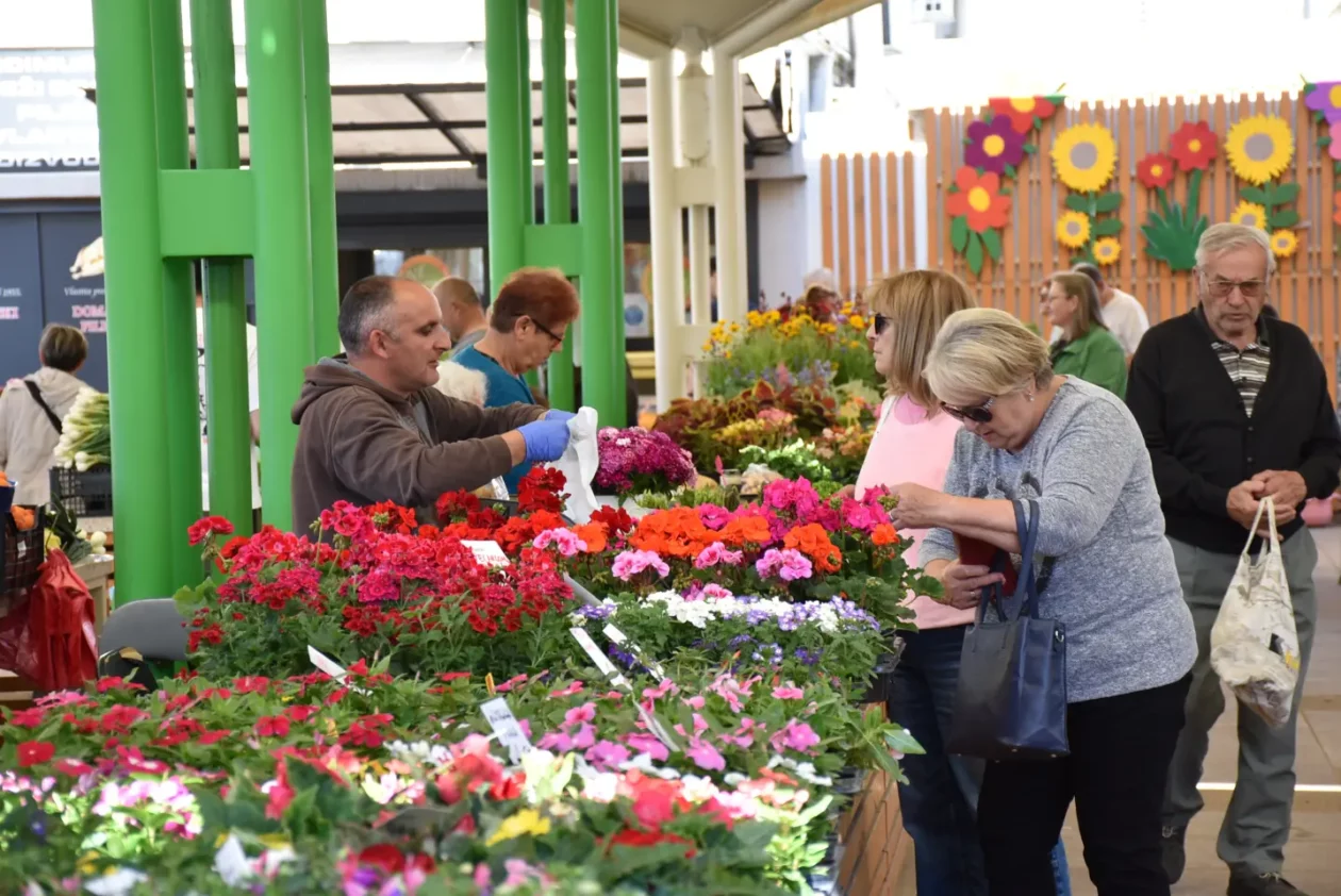 Tržnica, Čakovec, 31.5.2025 (4) Tržnica, Čakovec, 31.5.2025 (4)