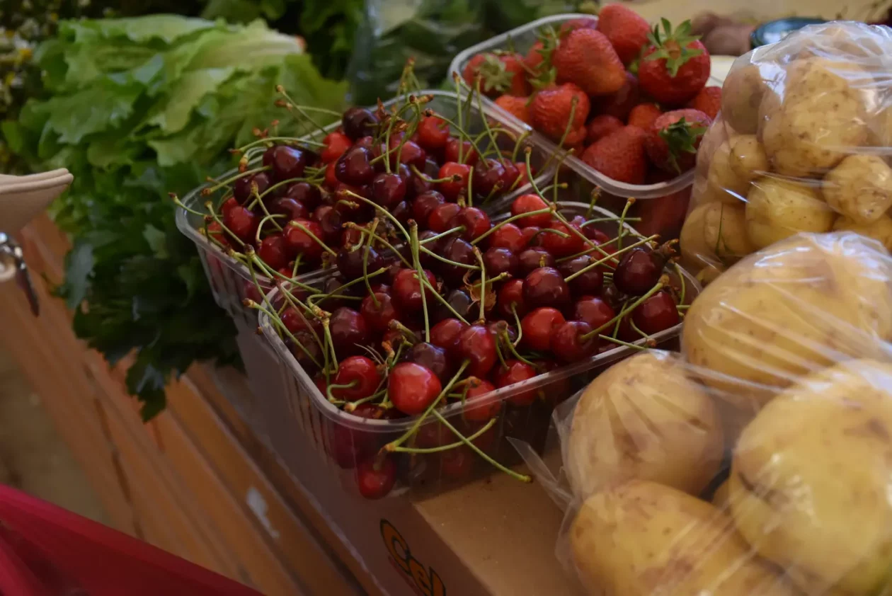 Tržnica, Čakovec, 31.5.2025 (7) Tržnica, Čakovec, 31.5.2025 (7)