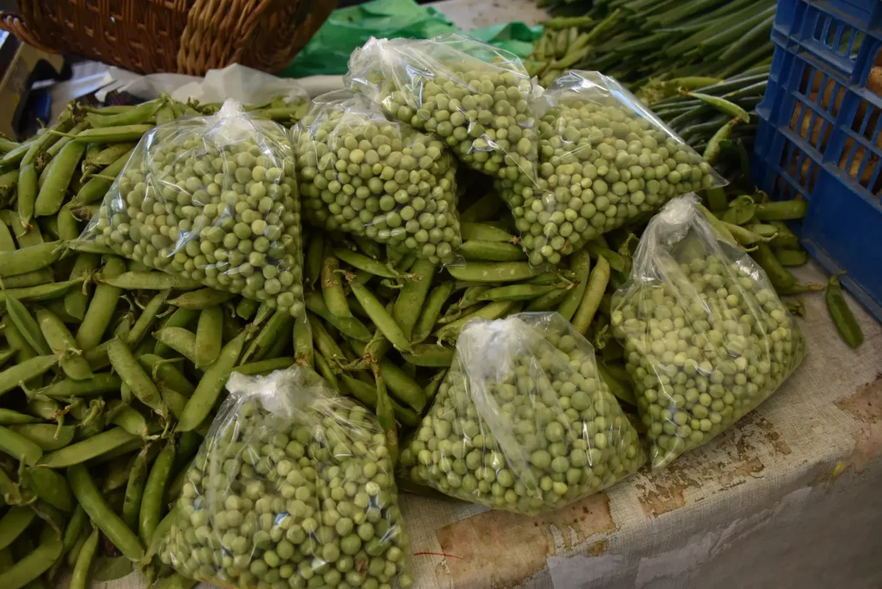 Tržnica, Čakovec, 31.5.2025 (9) Tržnica, Čakovec, 31.5.2025 (9)