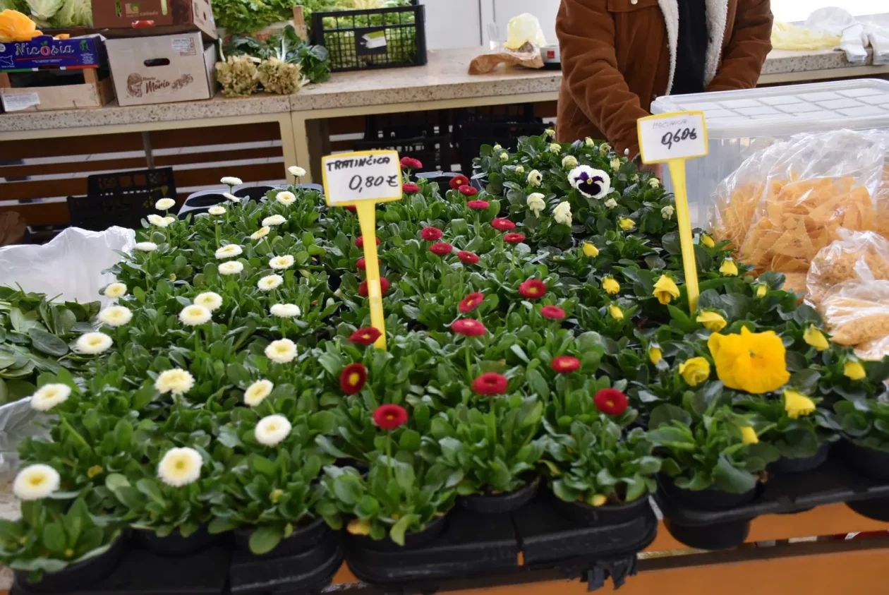 Tržnica, Čakovec, 7.3.25 (10)