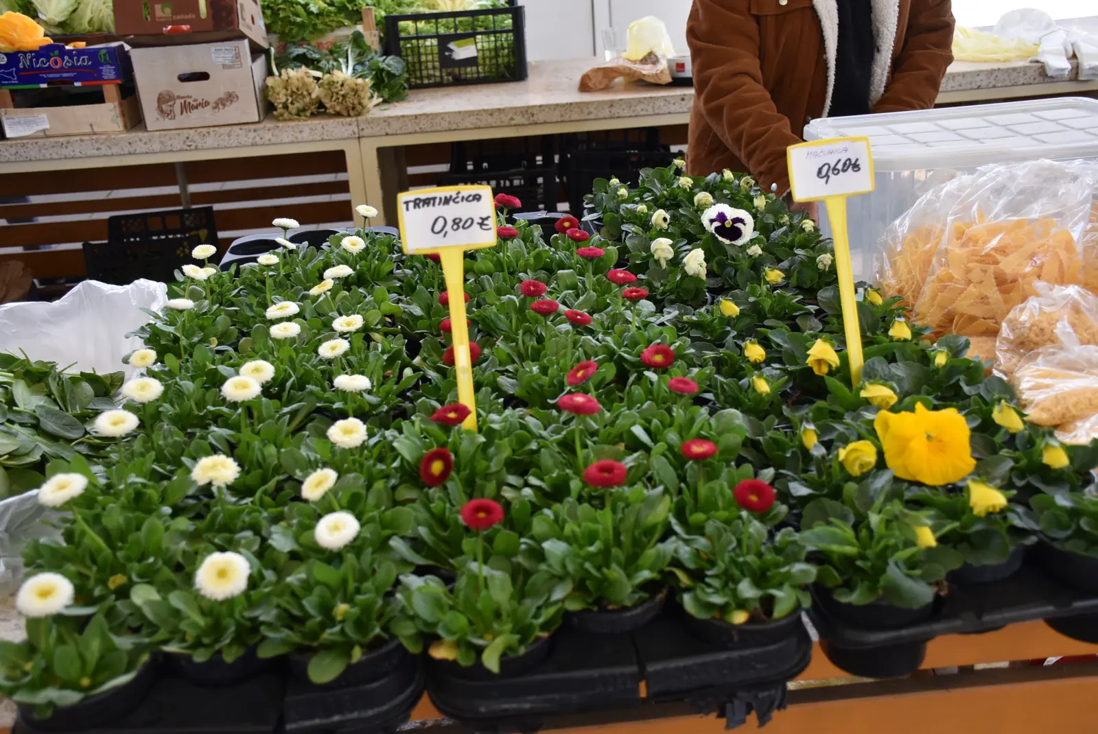 Tržnica, Čakovec, 7.3.25 (10)