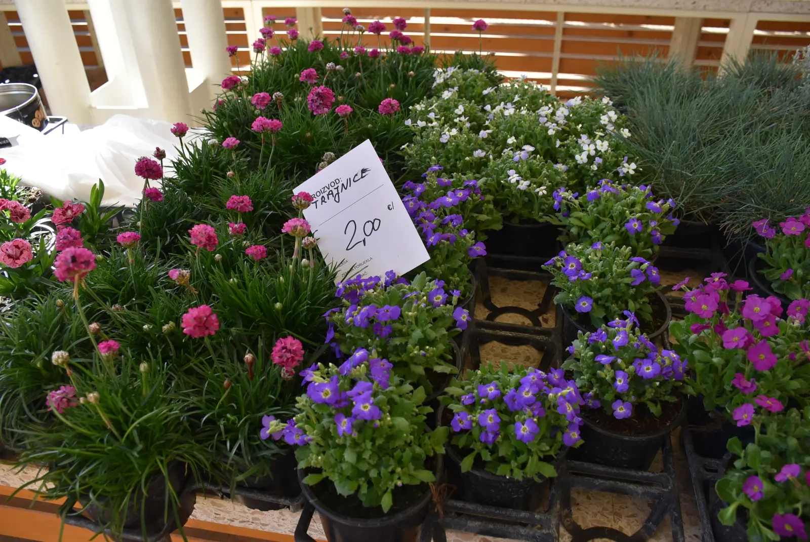 Tržnica, Čakovec, 7.3.25 (20)