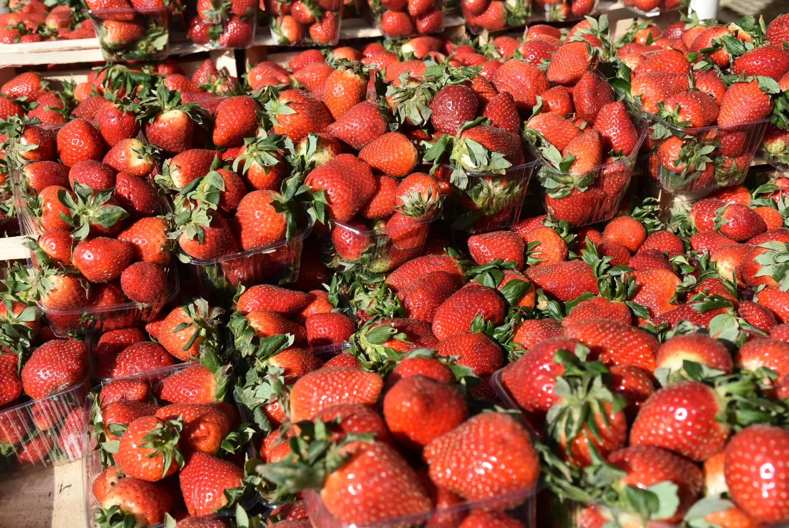 Tržnica, Čakovec, 7.3.25 (25)