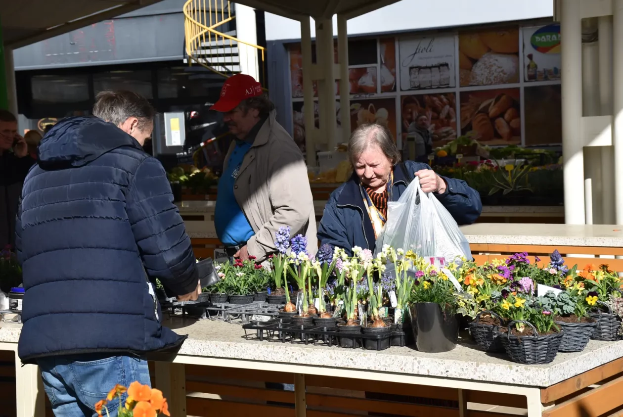 Tržnica, Čakovec, 7.3.25 (26)