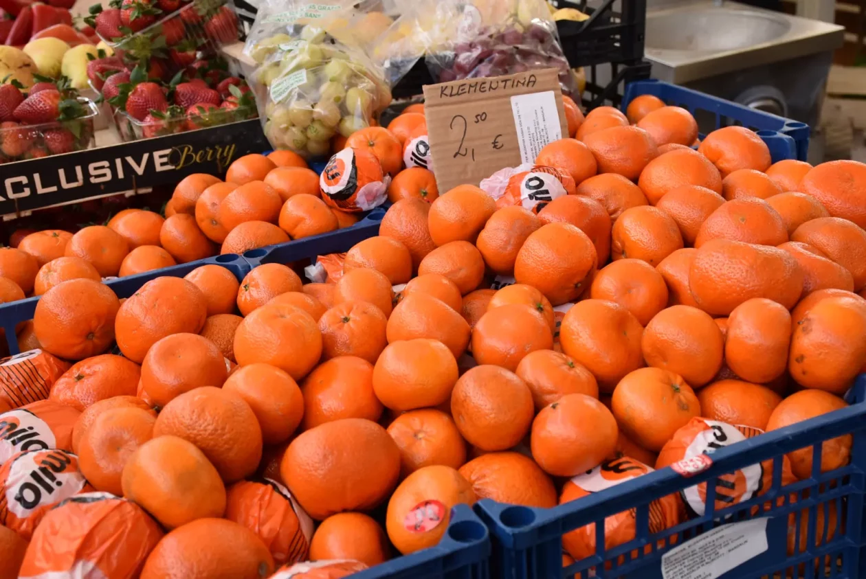 Tržnica, Čakovec, 7.3.25 (4)