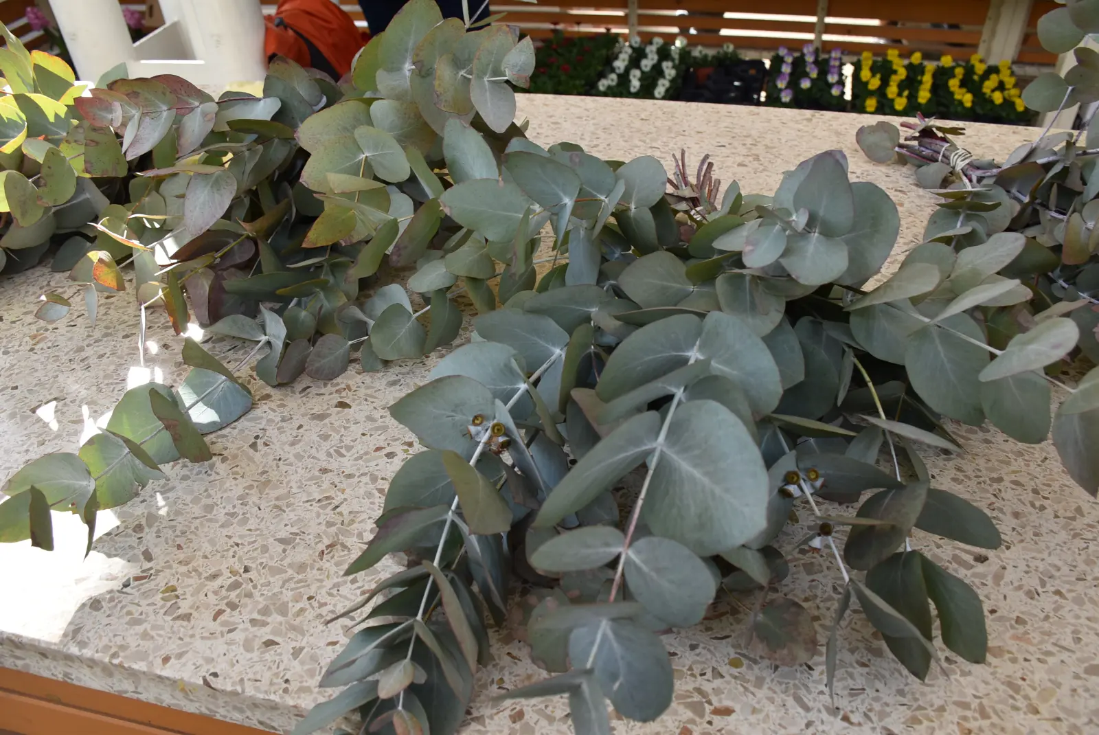 Tržnica, Čakovec, 7.3.25 (7)