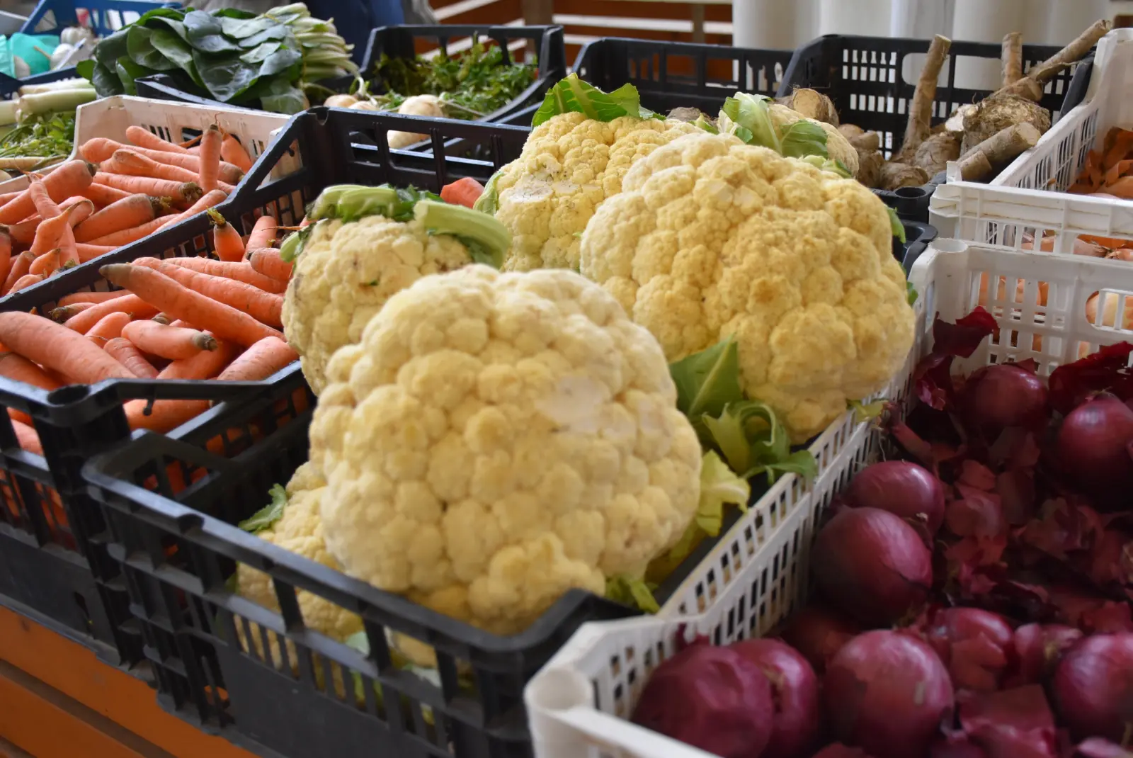 Tržnica, Čakovec, Badnjak (11)