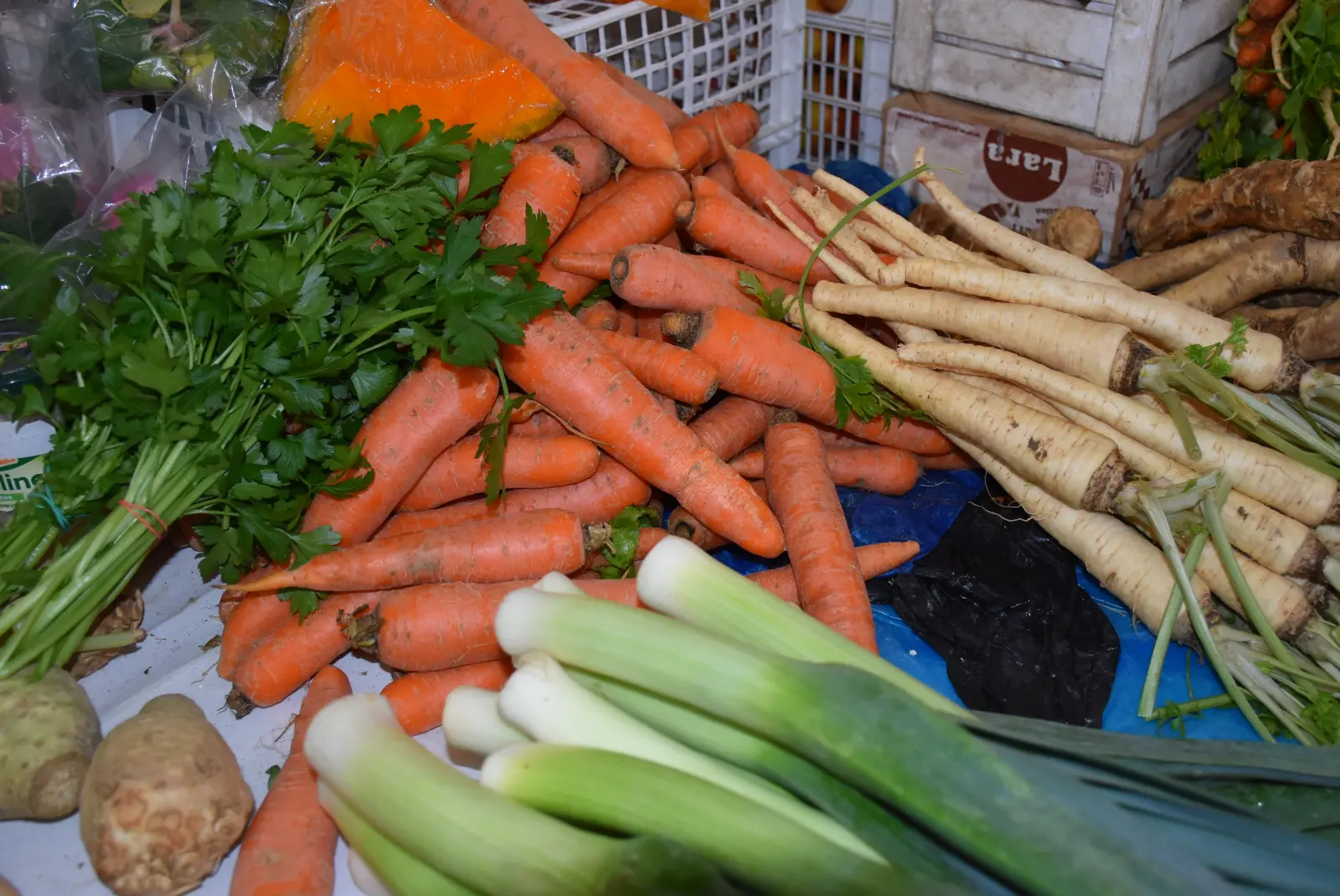 Tržnica, Čakovec, Badnjak (15)