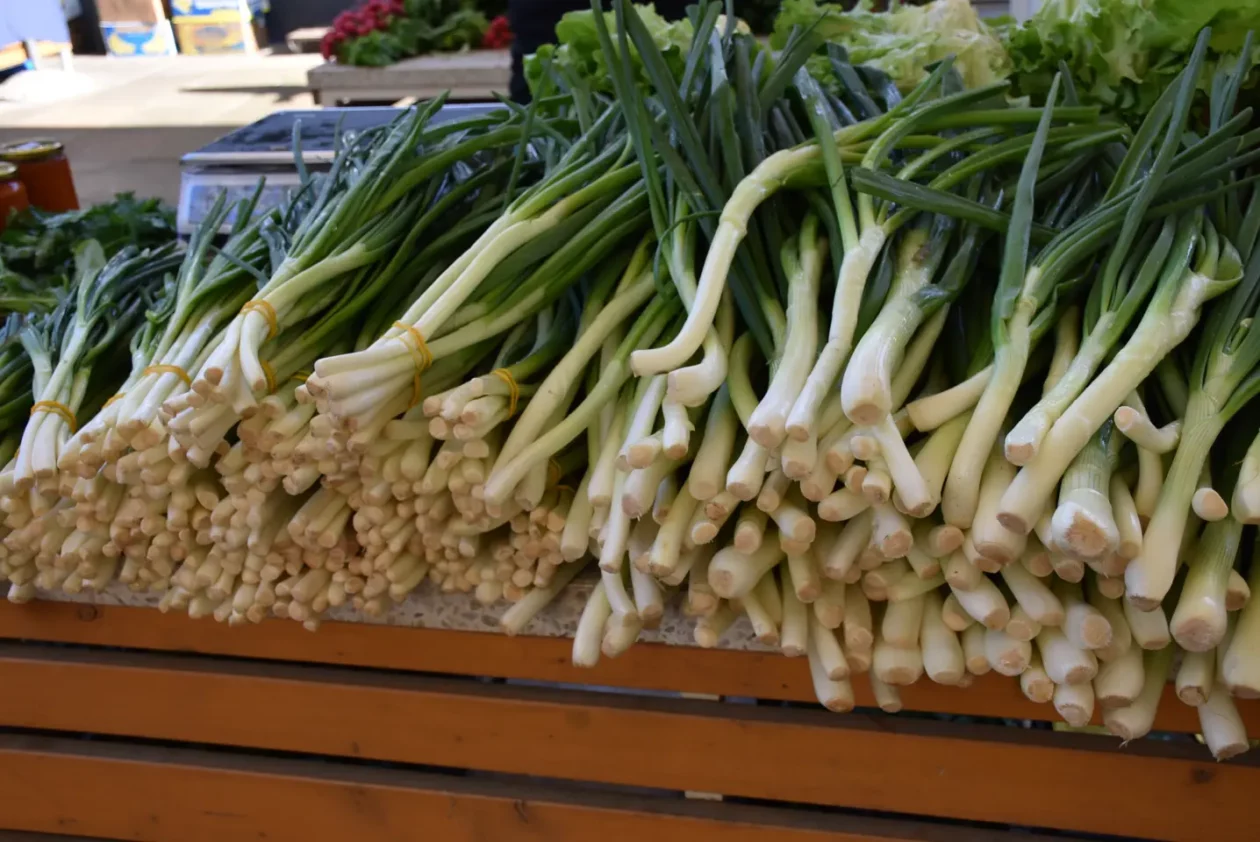 Tržnica, Čakovec, Veliki Petak (25) Tržnica, Čakovec, Veliki Petak (25)