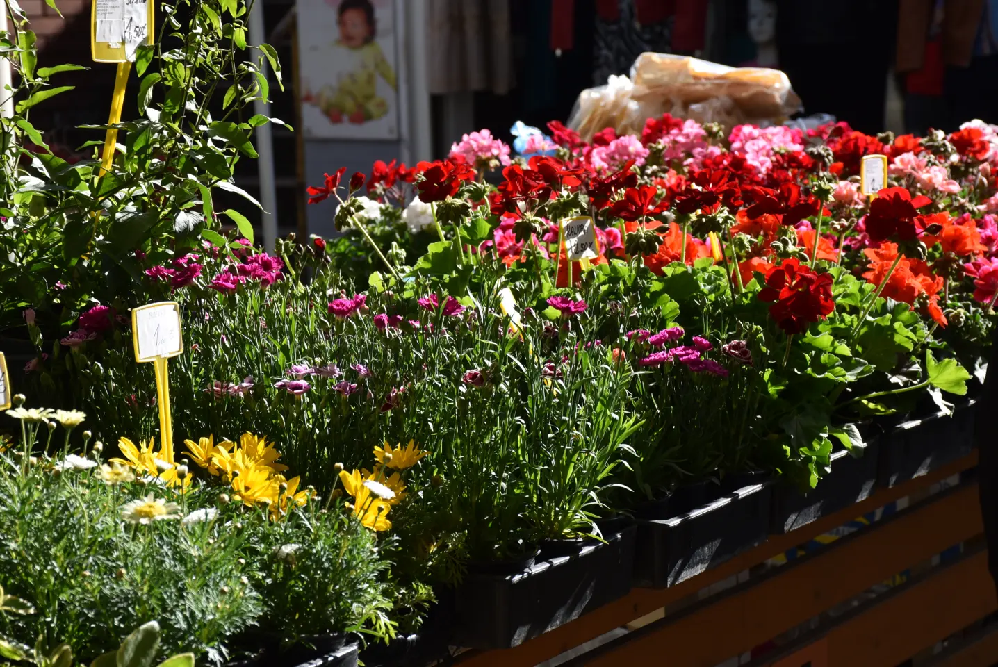 Tržnica, Čakovec, Veliki Petak (29)