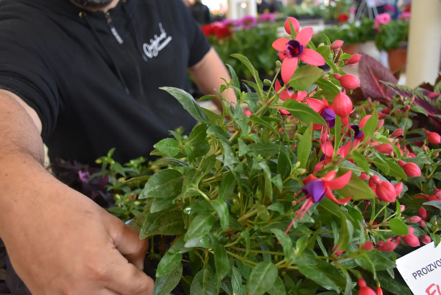 Tržnica, Čakovec, Veliki Petak (34)