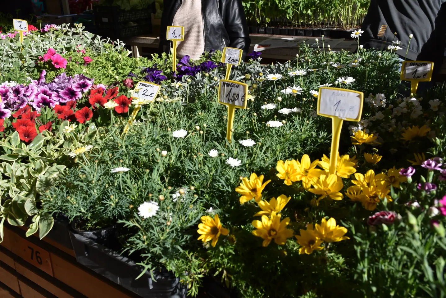 Tržnica, Čakovec, Veliki Petak (5)