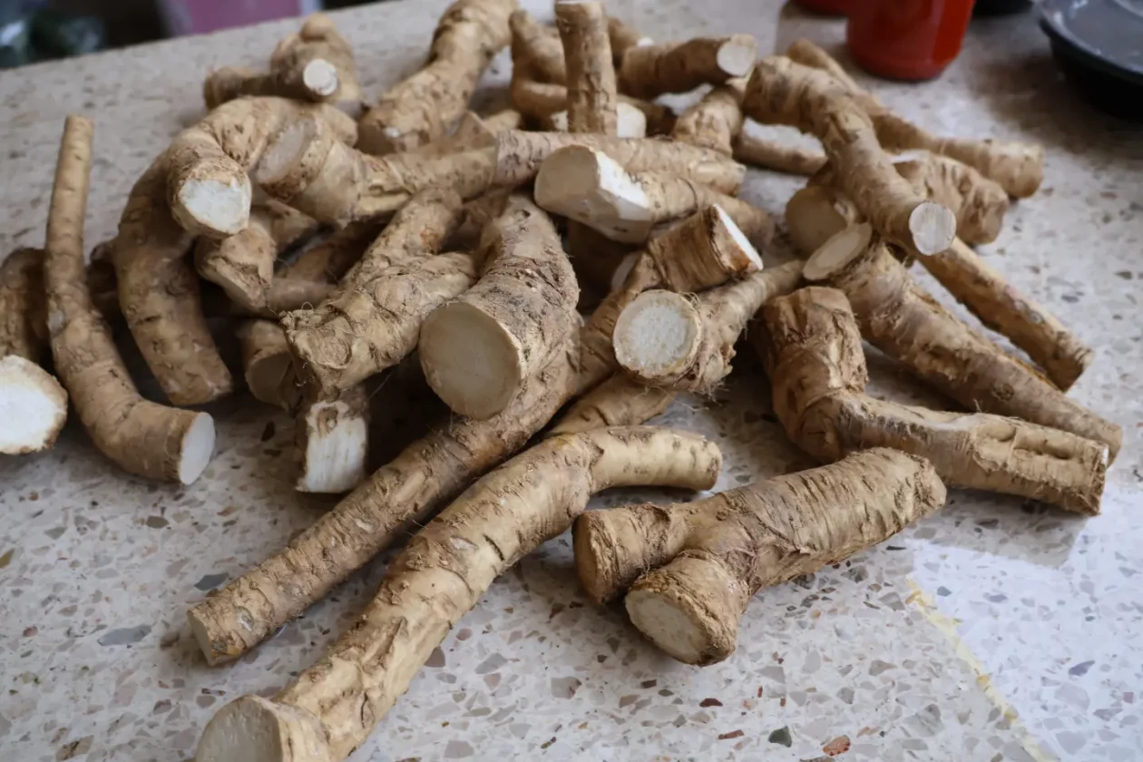 Tržnica Čakovec badnjak 24.12.2025 (17) Tržnica Čakovec badnjak 24.12.2025 (17)