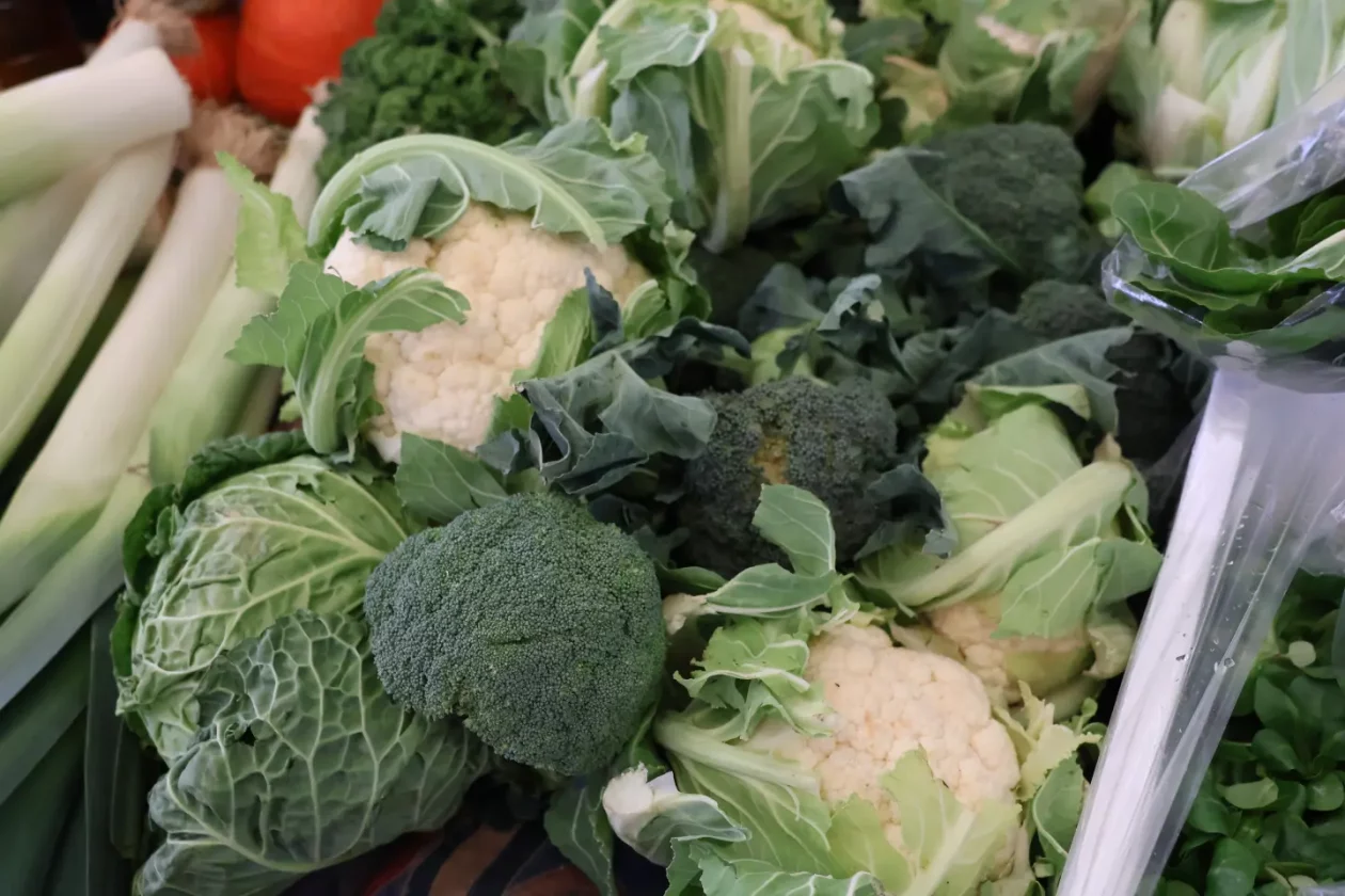 Tržnica Čakovec badnjak 24.12.2025 (23) Tržnica Čakovec badnjak 24.12.2025 (23)