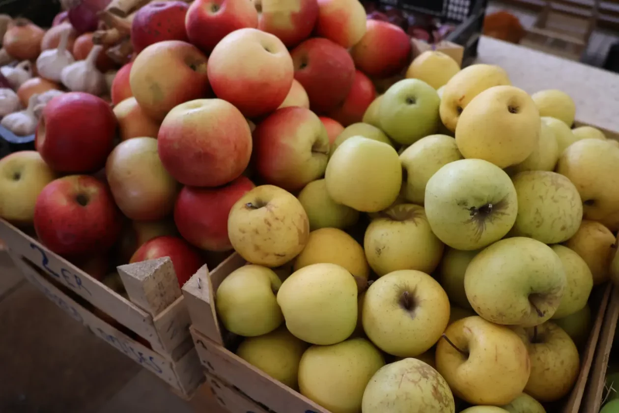 Tržnica Čakovec badnjak 24.12.2025 (26) Tržnica Čakovec badnjak 24.12.2025 (26)