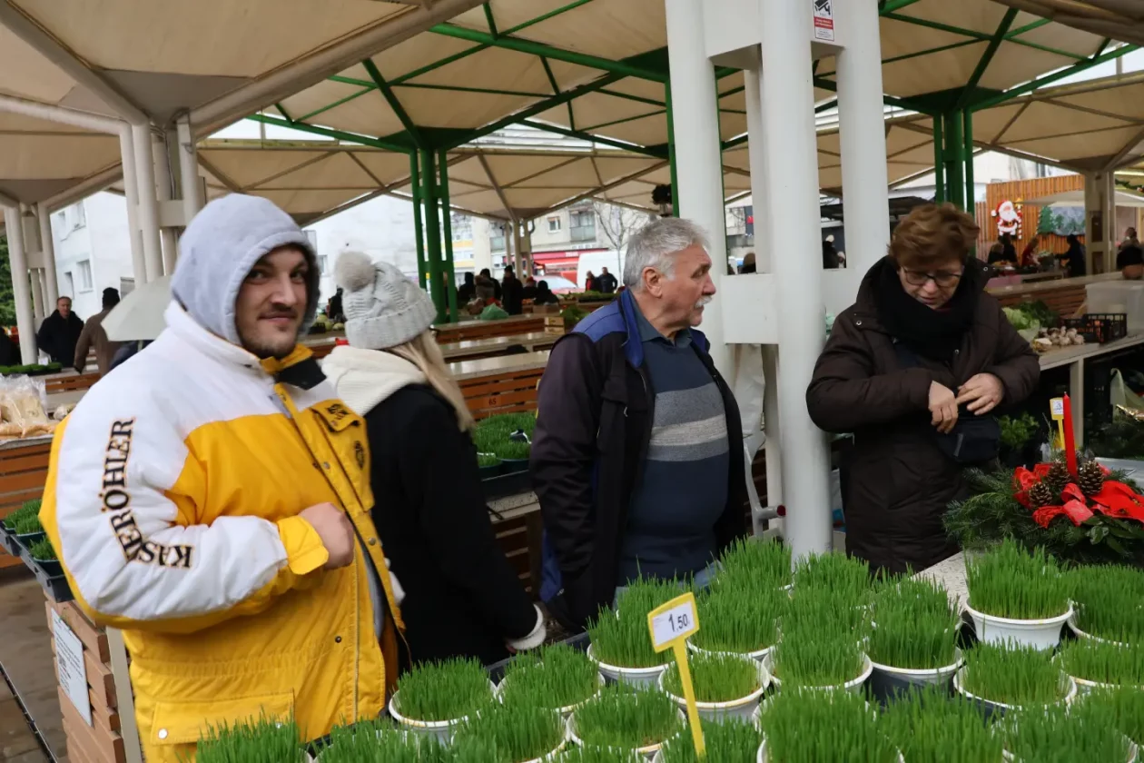 Tržnica Čakovec badnjak 24.12.2025 (4) Tržnica Čakovec badnjak 24.12.2025 (4)