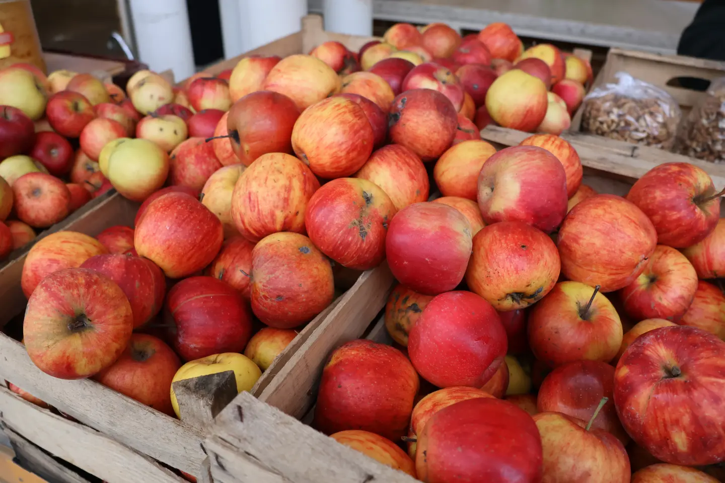 Tržnica Čakovec badnjak 24.12.2025 (44)