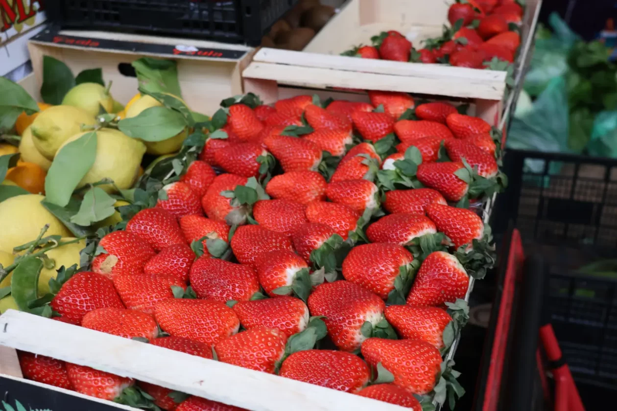 Tržnica Čakovec badnjak 24.12.2025 (9) Tržnica Čakovec badnjak 24.12.2025 (9)