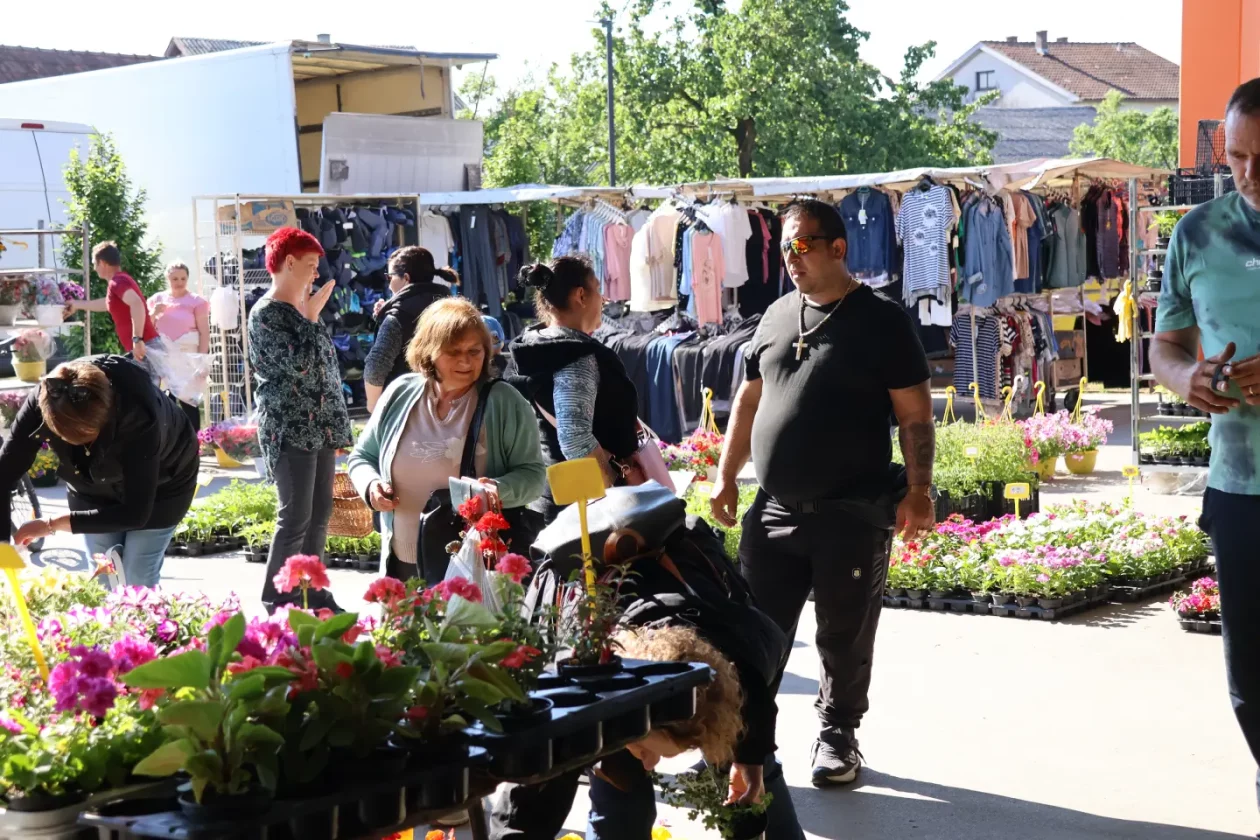 Tržnica Kotoriba 9.5.2026 (14)