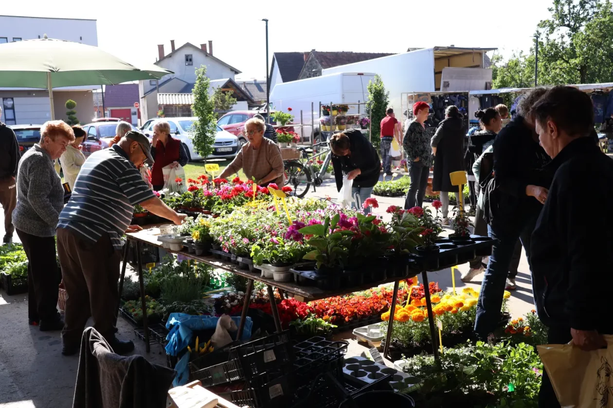 Tržnica Kotoriba 9.5.2026 (15)