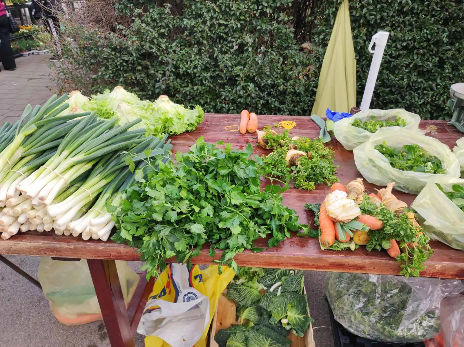 Tržnica Prelog (11)