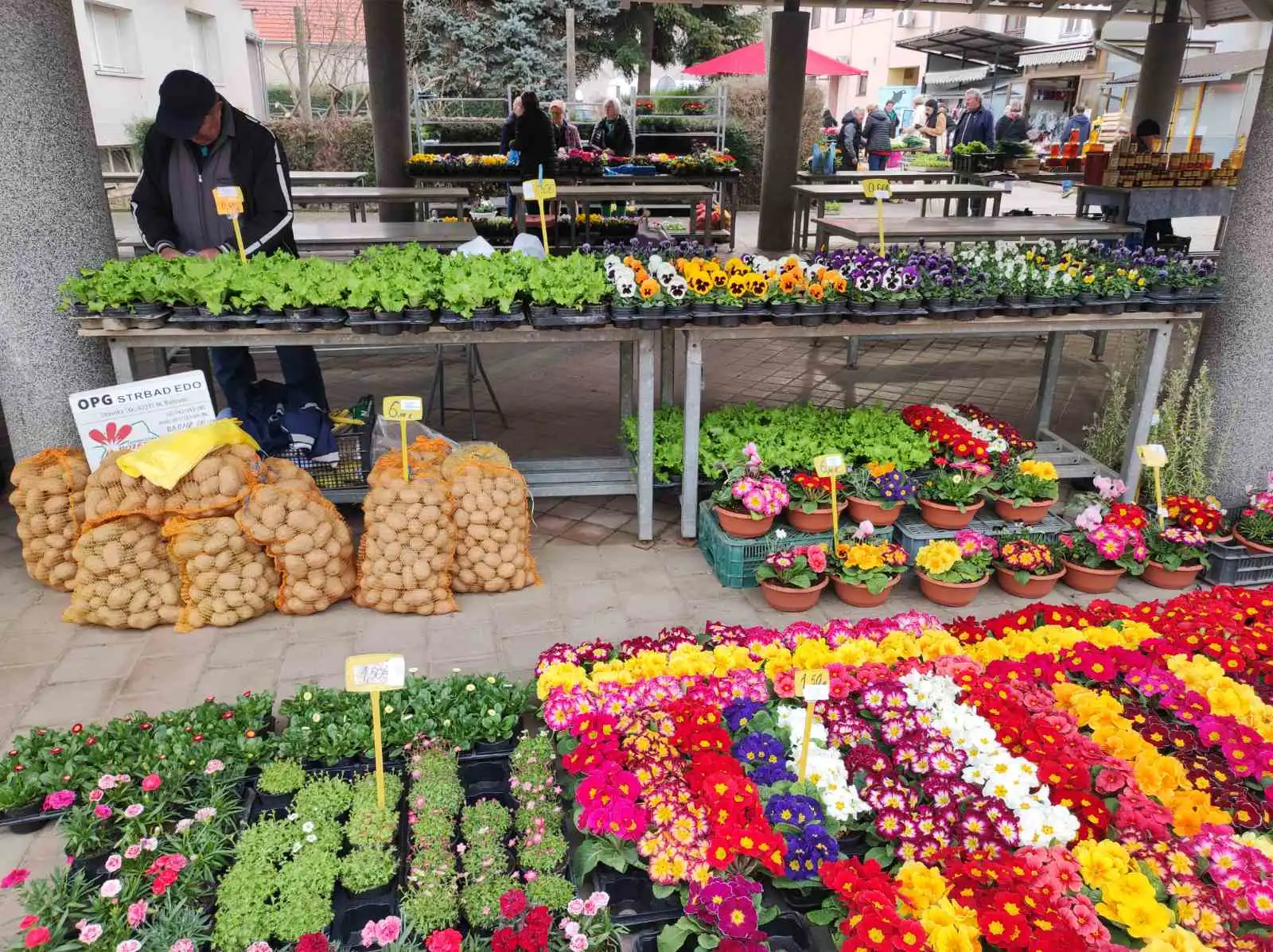 Tržnica Prelog (20)