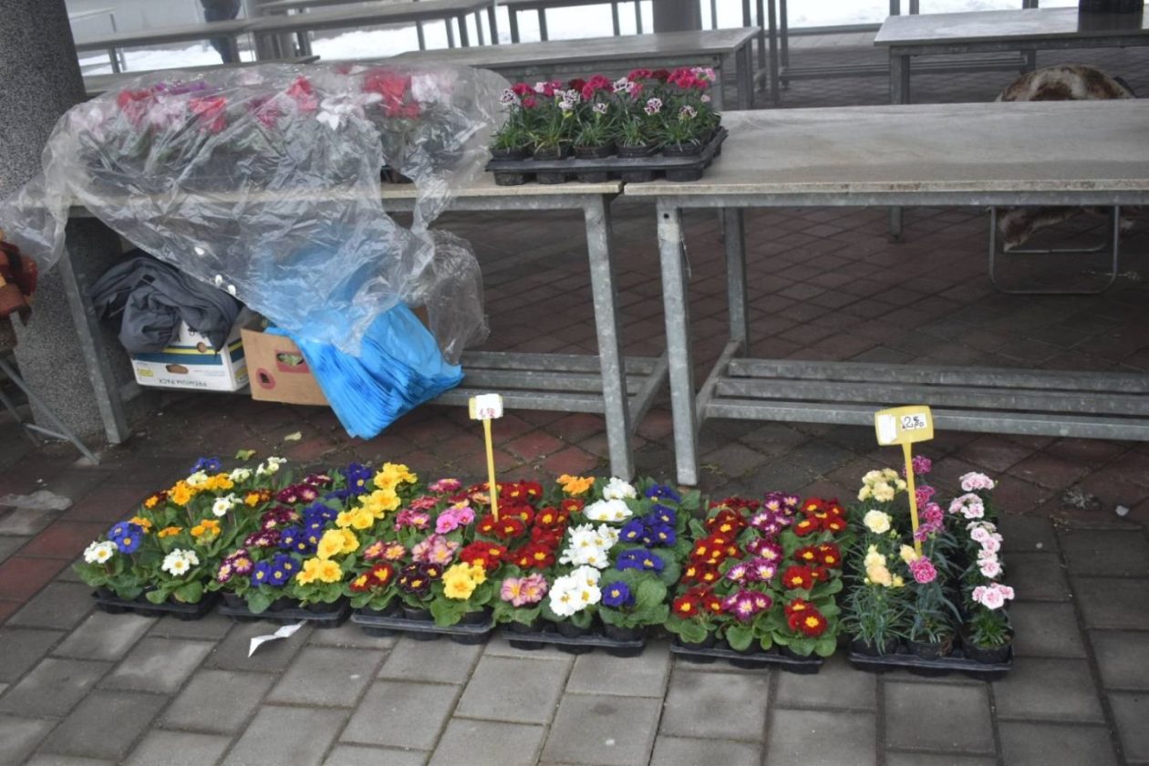 Tržnica Prelog 2026 (10) Tržnica Prelog 2026 (10)