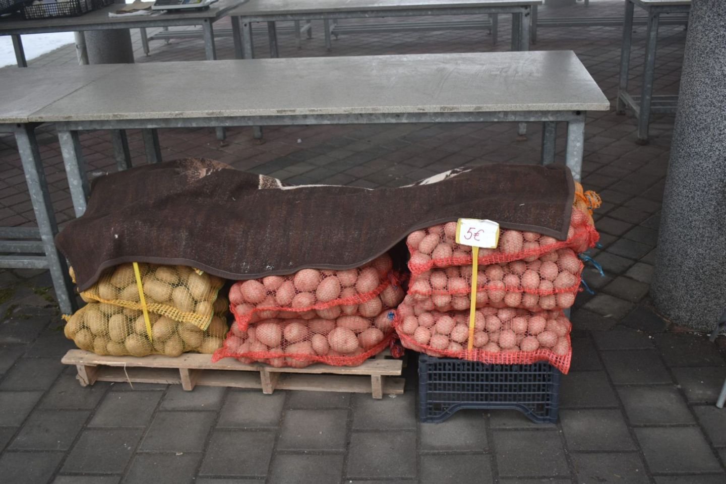 Tržnica Prelog 2026 (11)