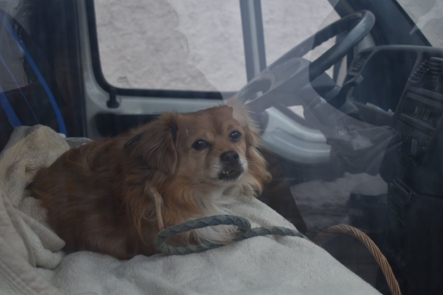 Tržnica Prelog 2026 (4)