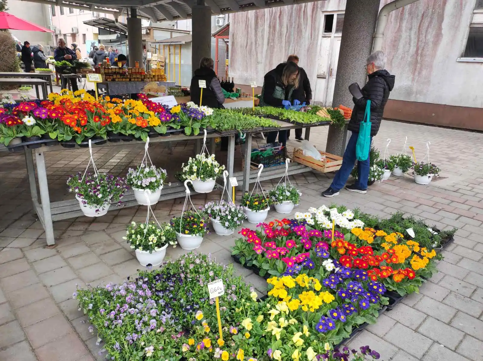 Tržnica Prelog (40)