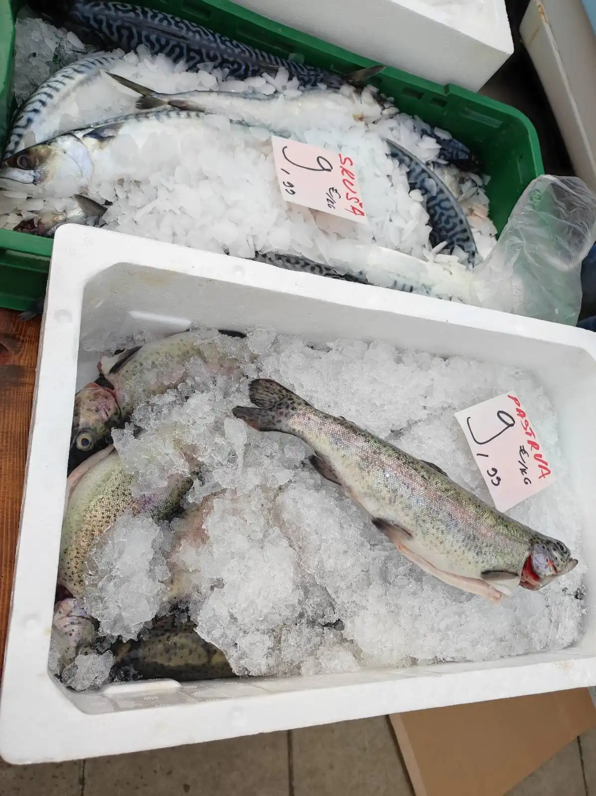 Tržnica Prelog (41)