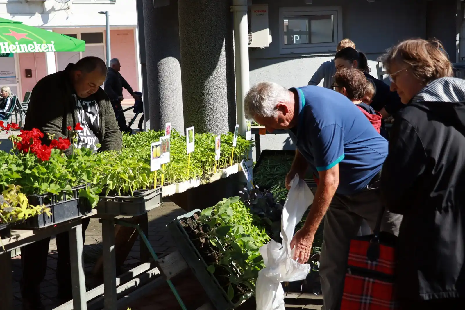 Tržnica u Prelogu (10)