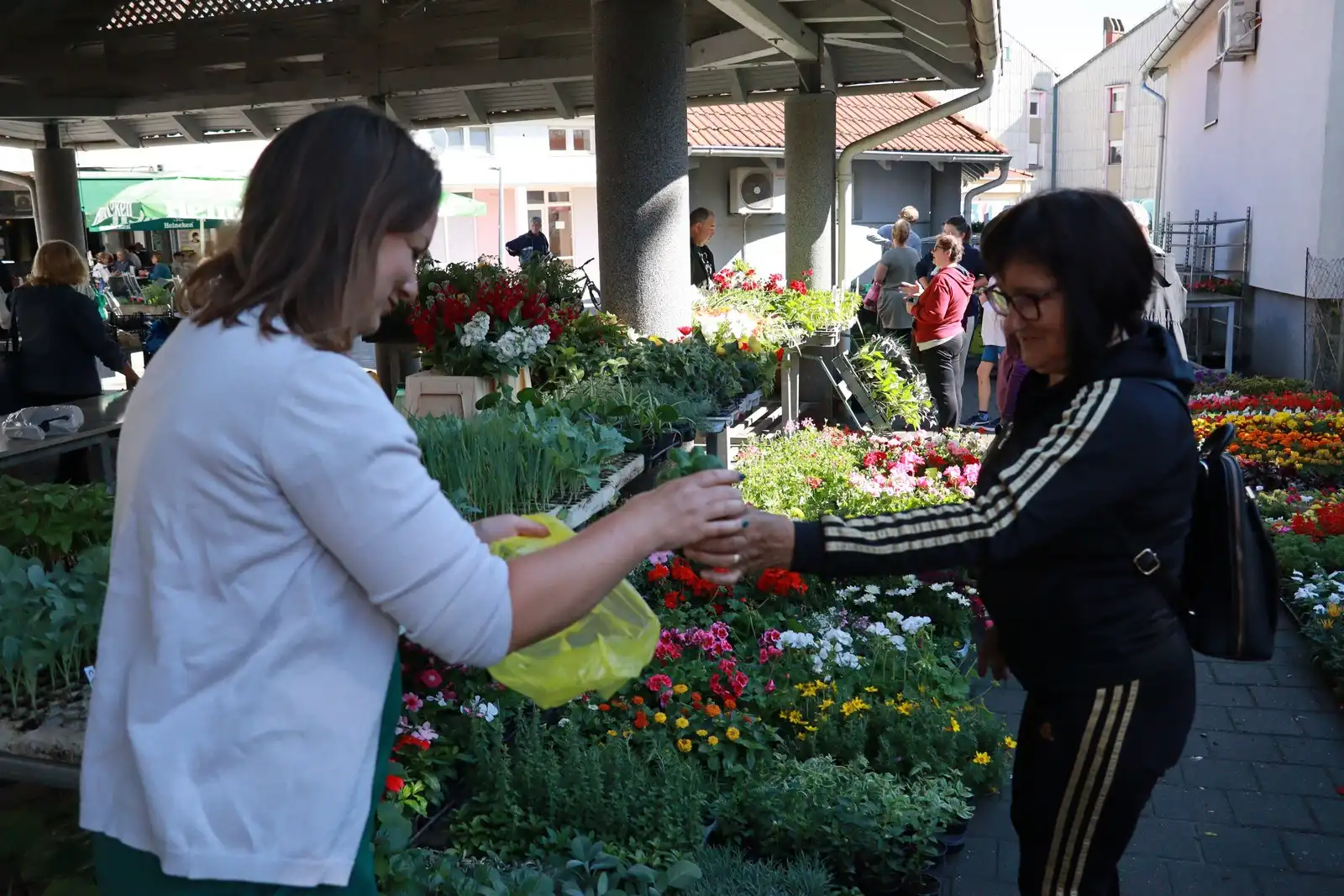 Tržnica u Prelogu (11)
