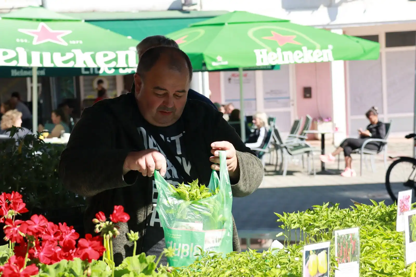 Tržnica u Prelogu (12)