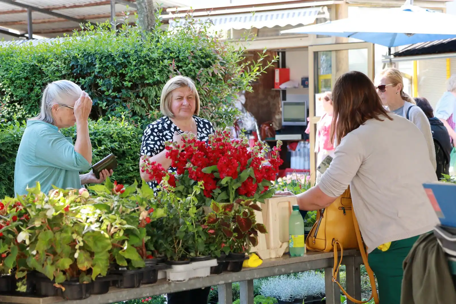 Tržnica u Prelogu (20)