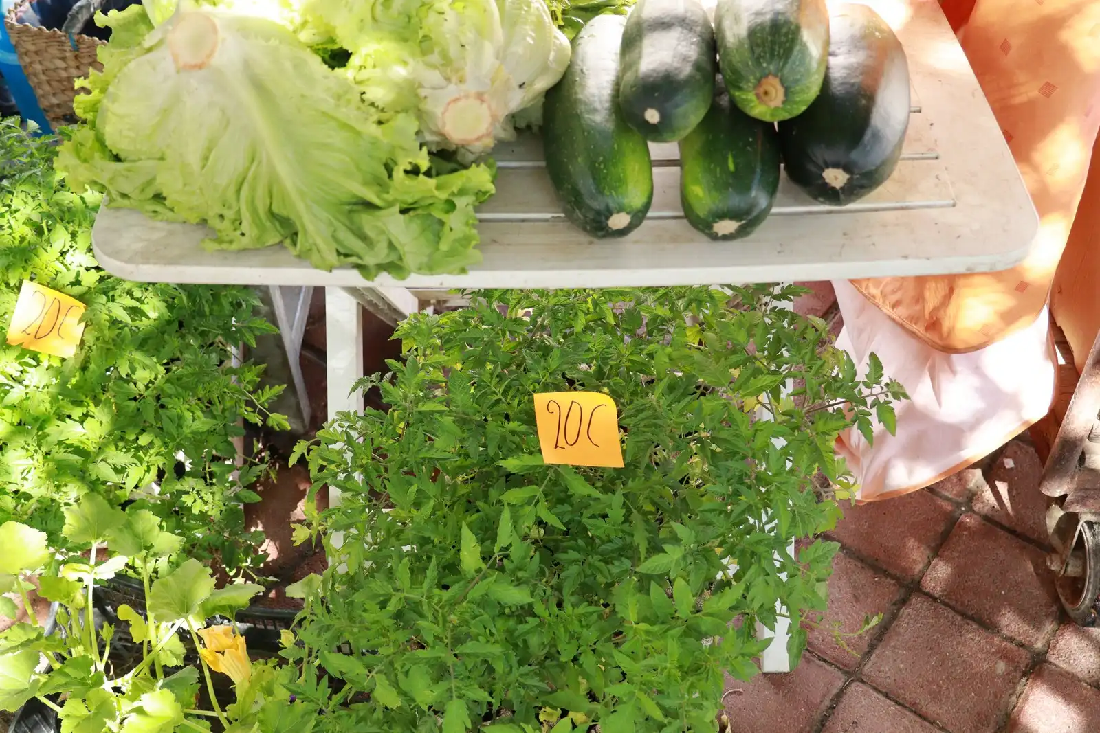 Tržnica u Prelogu (24)