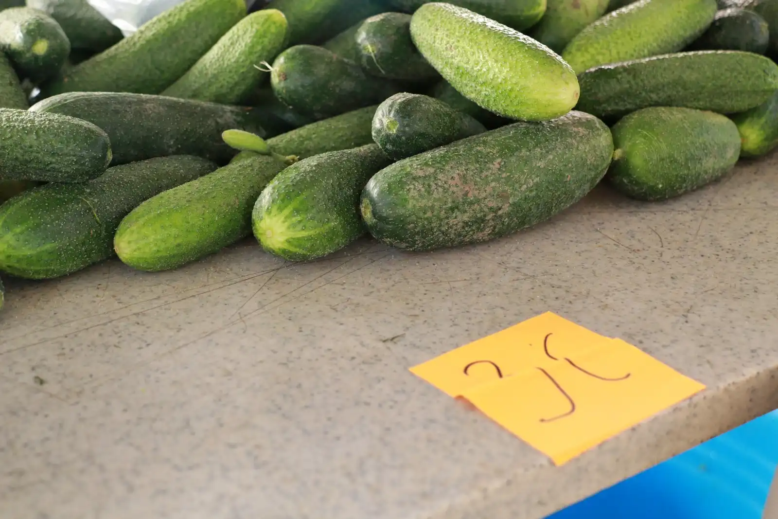 Tržnica u Prelogu (26)