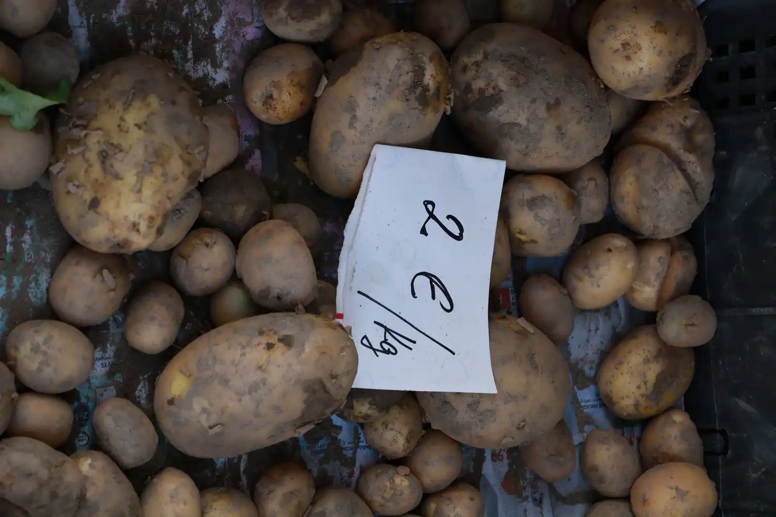 Tržnica u Prelogu (29)