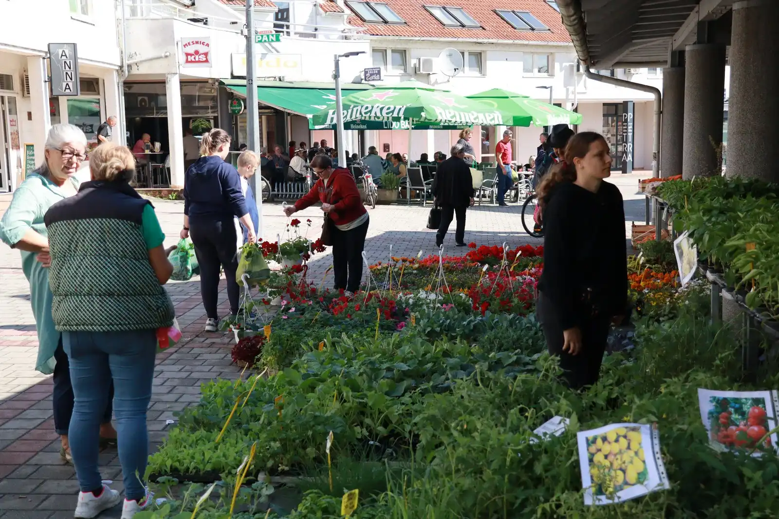 Tržnica u Prelogu (30)