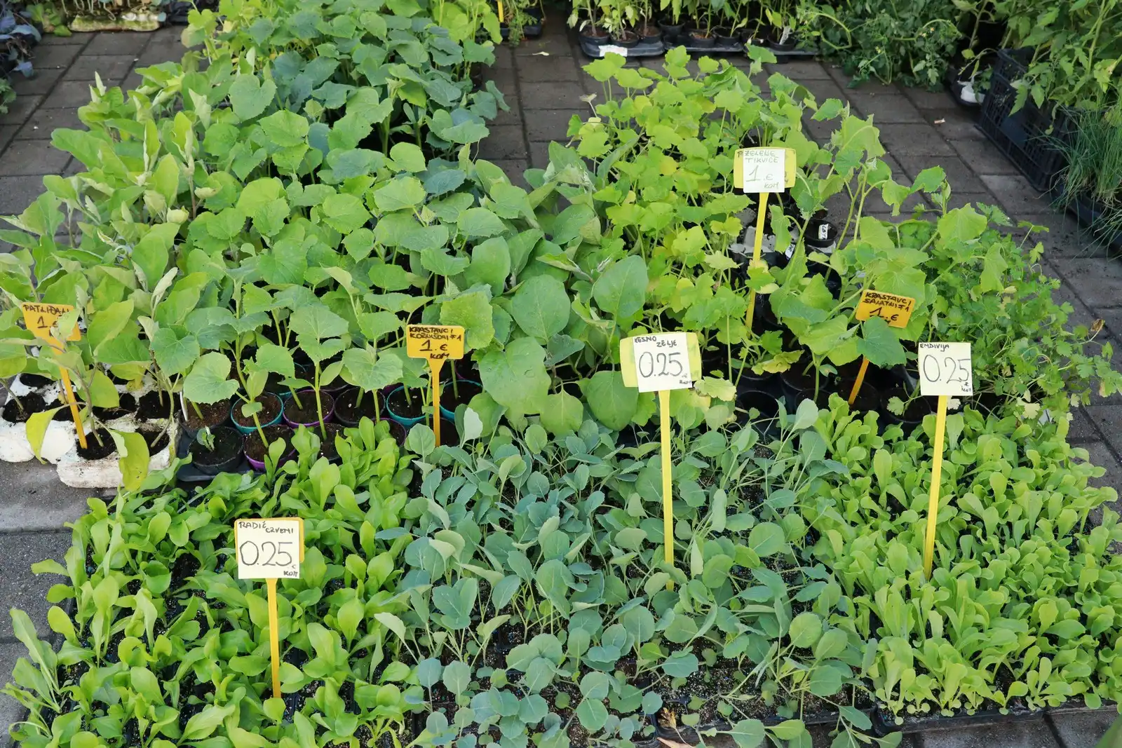 Tržnica u Prelogu (33)