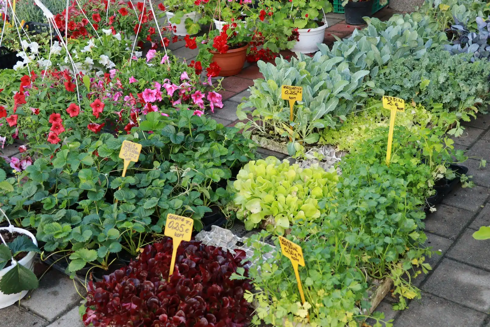 Tržnica u Prelogu (35)