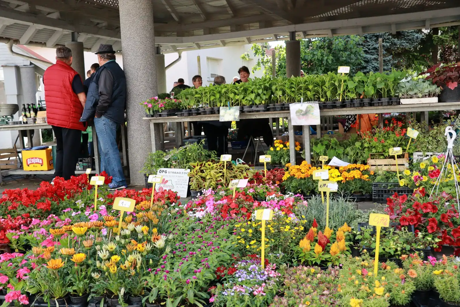 Tržnica u Prelogu (36)
