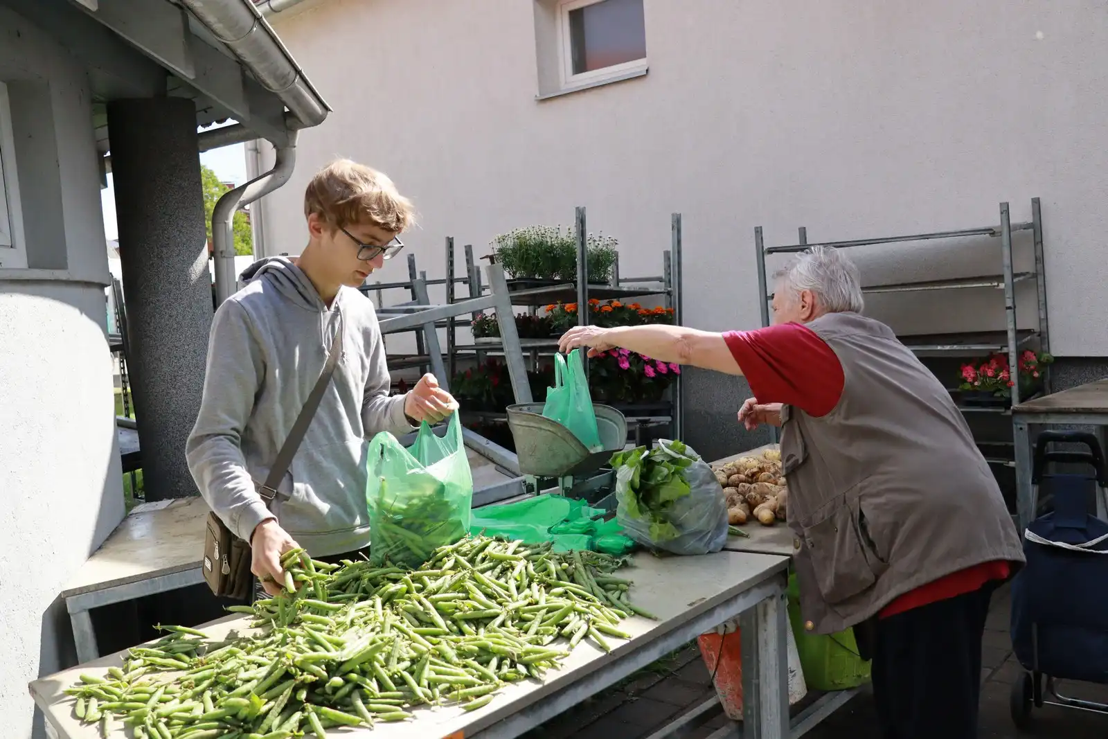 Tržnica u Prelogu (45)