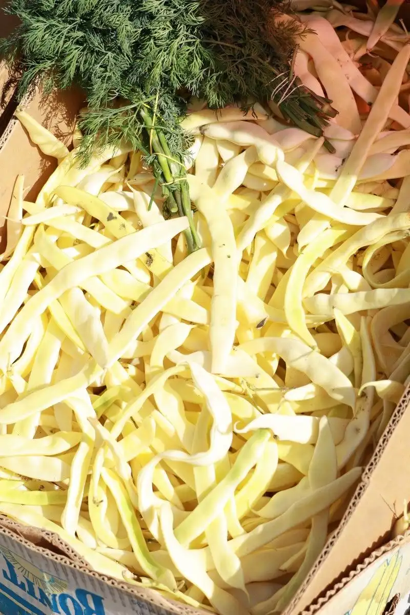 Tržnica u Prelogu (48)